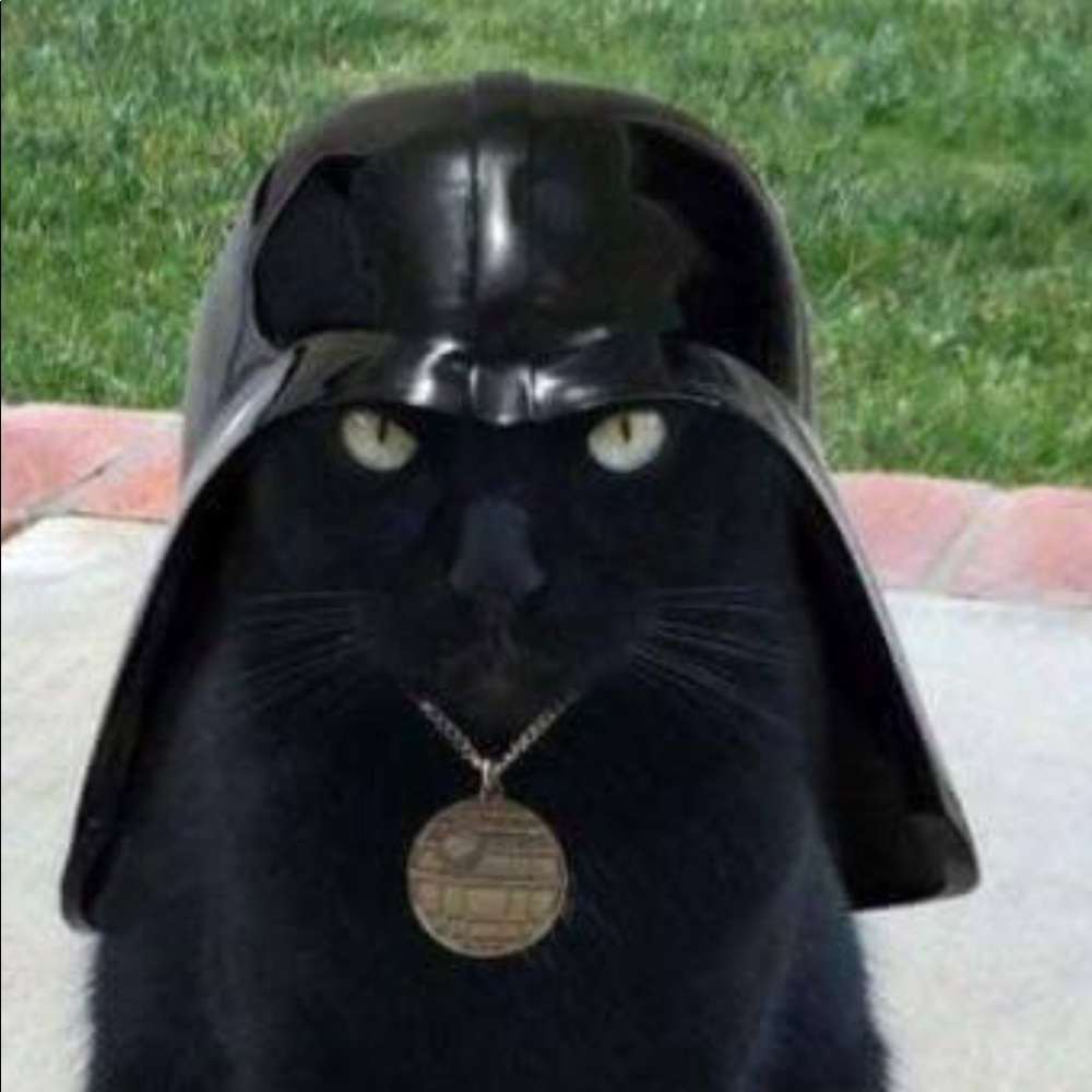 Meet your Posher, Patricia